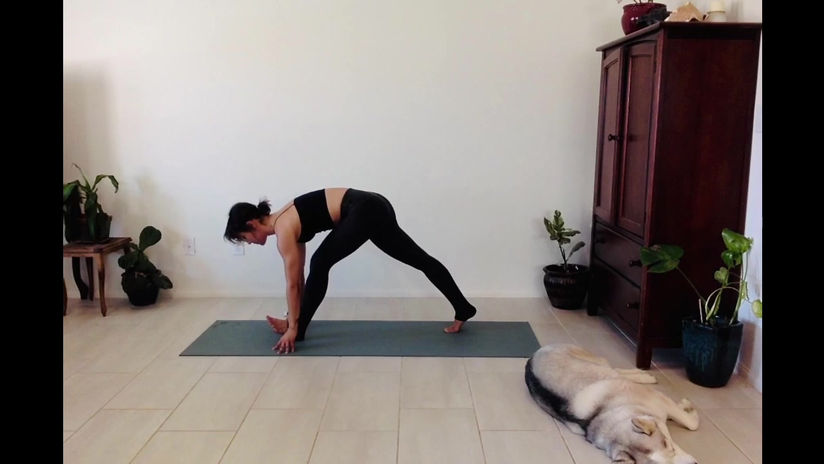 Yoga- Hips & Hamstrings